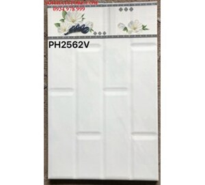 Gạch 25x40 PH2562V