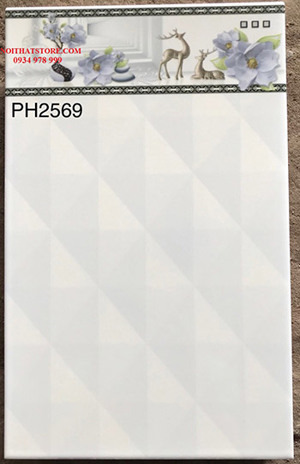 Gạch 25x40 PH2569