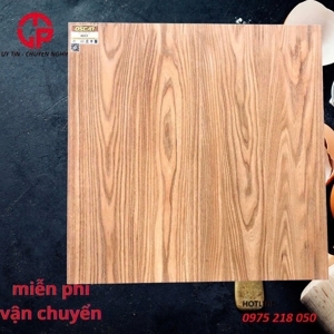 Gạch giá rẻ Ý Mỹ 60x60 A623