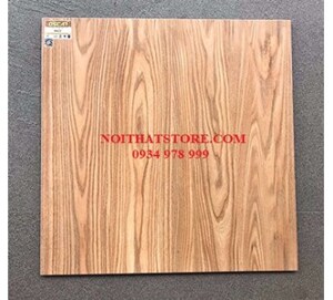 Gạch giá rẻ Ý Mỹ 60x60 A623