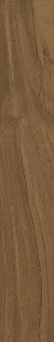 Gạch gỗ 200x1200 Viglacera Platinum PT21205