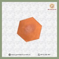 Gạch gốm đất nung MS02