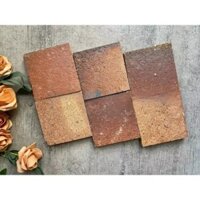 Gạch gốm nung cổ Tây Ninh 100x100x13mm