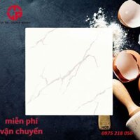 Gạch granite 600×600 Bóng kính CTL 69058