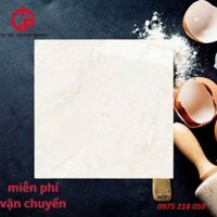 Gạch granite 600×600 vân may CTL 65002