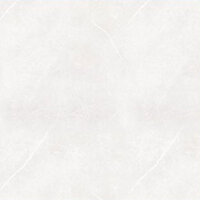 Gạch granite 600x600 Bạch Mã HS60004