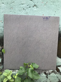 Gạch granite 60x60 kis q2