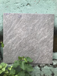 Gạch granite 60x60 kis q3