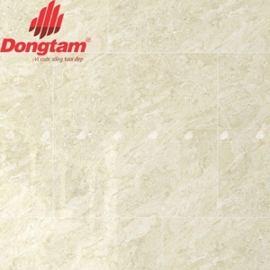 Gạch Granite lát nền Đồng Tâm 6060TRUONGSON007-FP - 60x60