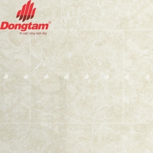 Gạch Granite lát nền Đồng Tâm 6060TRUONGSON005-FP - 60x60