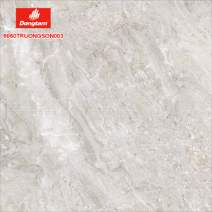 Gạch Granite lát nền Đồng Tâm 6060TRUONGSON003-FP - 60x60