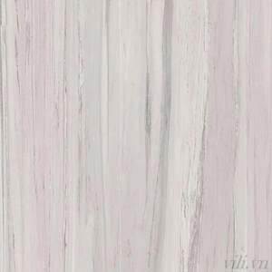 Gạch Hoàn Mỹ 100x100 vi tinh 55003
