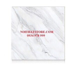 Gạch Hoàn Mỹ 100x100 vi tinh 55002