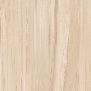 Gạch Hoàn Mỹ 100x100 vi tinh 55004