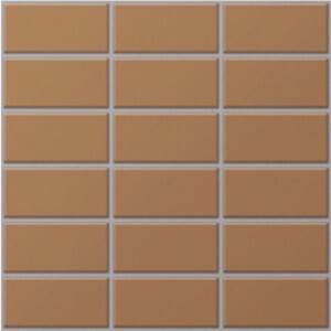 Gạch Inax 255/DPL-102V