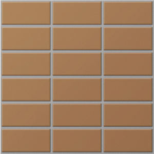 Gạch Inax 255/DPL-102V