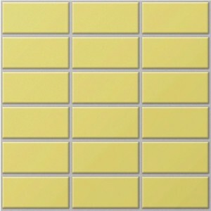 Gạch Inax 255/DPL-103V