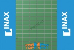 Gạch Inax 255/DPL-108V