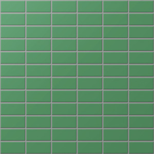 Gạch Inax 255/DPL-108V