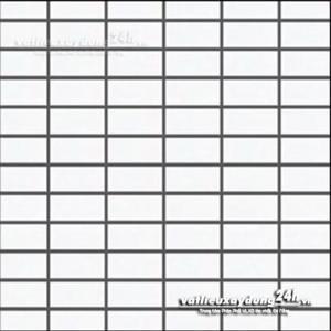 Gạch Inax 255/PPC-11