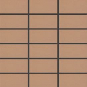 Gạch Inax 255/PPC-133