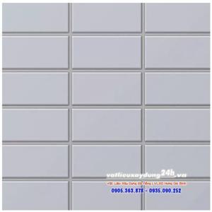 Gạch Inax 255/PPC-21