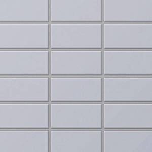 Gạch Inax 255/PPC-21