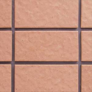 Gạch Inax 255/VIZ-10