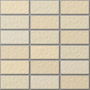 Gạch Inax 255/VIZ-9