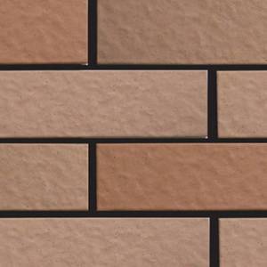 Gạch Inax 355/VIZ-10N