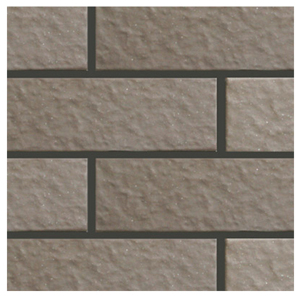 Gạch Inax 355/VIZ-8N