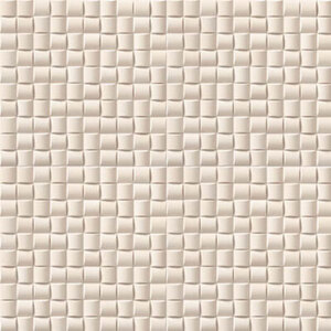 Gạch Inax ECP-30NET/WE3NN