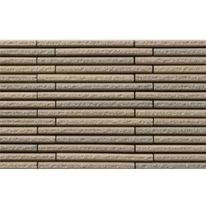 Gạch Inax HAL-20BN/HB-5