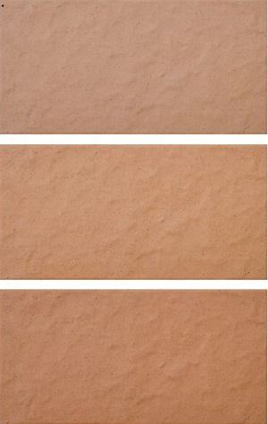 Gạch Inax INAX-2312/VIZ-10