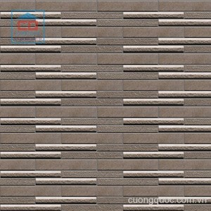 Gạch Inax INAX-3040B/TRP-2