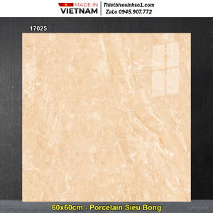 Gạch lát 60×60 prime 17025