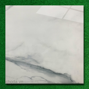 Gạch lát 60x60 Apodio 66181023