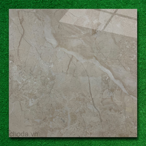 Gạch lát 60x60 Apodio 66282011
