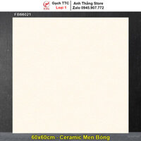 Gạch Lát 60x60 TTC FB66021