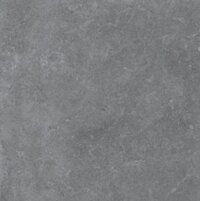 Gạch lát 60x60 Viglacera Platinum PT20-G6605