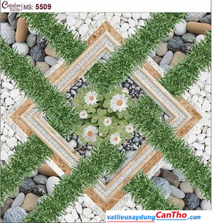 Gạch lát Catalan 50x50 5509