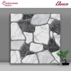 Gạch Catalan 60x60 6163
