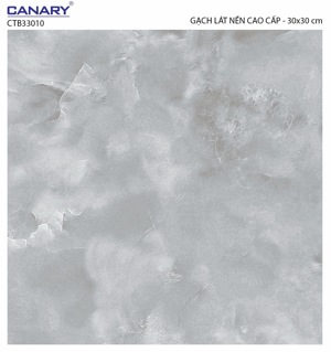 Gạch lát nền 30×30 TTC Ceramic CTB33010