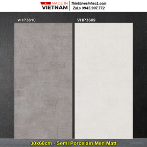 Gạch ốp lát 30x60 Viglacera VHP3610