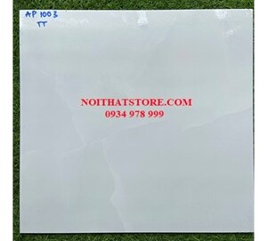 Gạch lát nền 50x50 AP1003