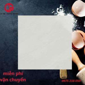 Gạch lát nền 600x600 ES622