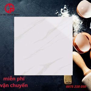 Gạch lát nền 600x600 EY6034