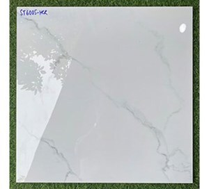 Gạch lát nền 600x600 ST6005