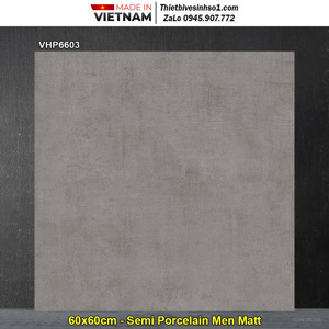 Gạch lát nền 600x600 Viglacera VHP6603