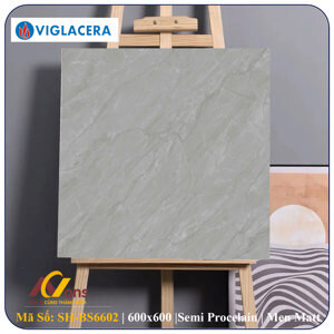 Gạch lát nền 600x600 Viglacera BS6602
